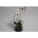 Weiß atmosphera Zimmerpflanze Blume mit...
