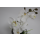 Atmosphera Zimmerpflanze Blume mit weißen Blüten künstlich