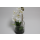 Atmosphera Zimmerpflanze Blume mit weißen Blüten künstlich